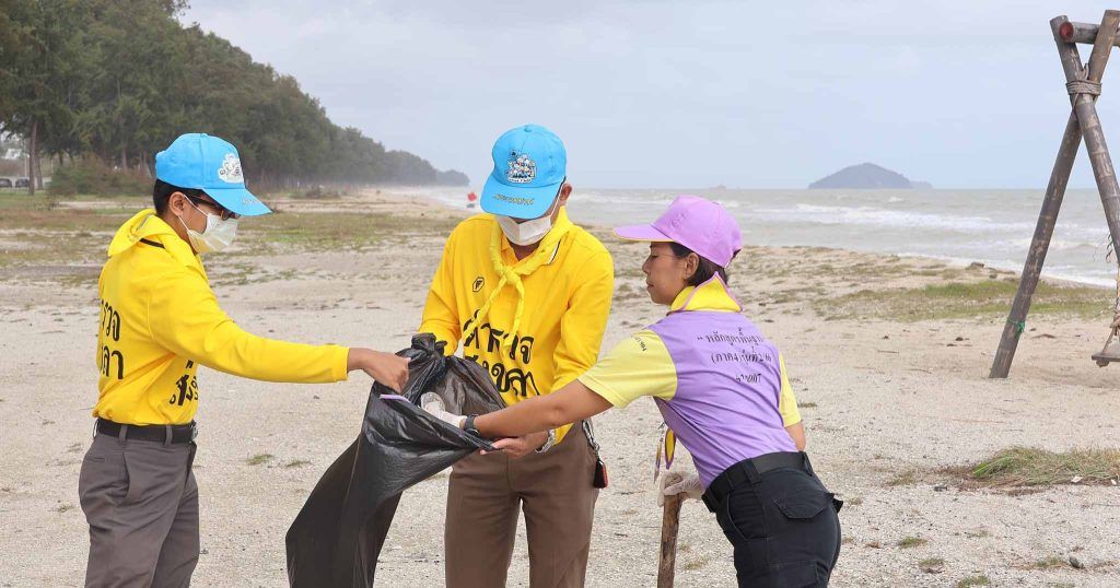 จิตอาสา ปล่อยเต่า